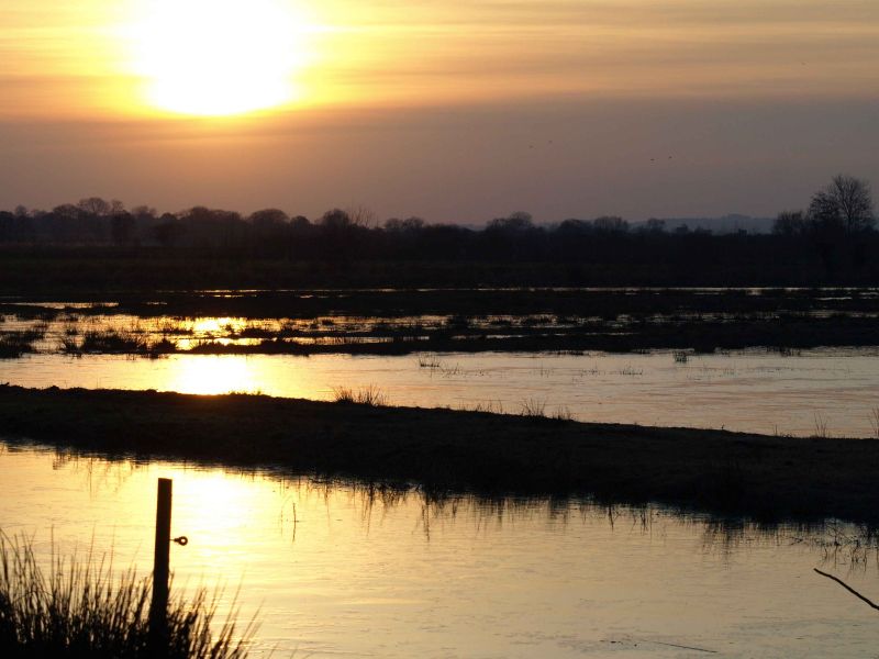 sunset on the somerset levels.jpg
